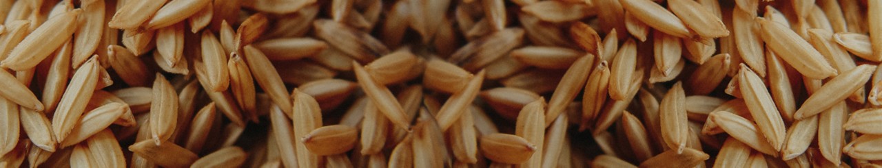 arize-hybrids-rice-products.jpg